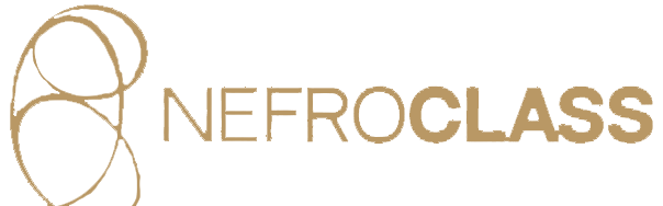 Logo Nefroclass